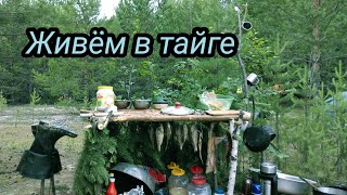 ЖИВЕМ В ТАЙГЕ / ФЛЯГА ОКУНЯ / ЩУКА 10 КГ  #2/2. bushcraft