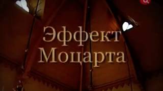 Эффект Моцарта. Михаил Казиник.