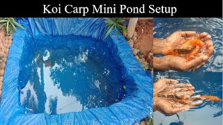 Koi carp mini pond setup malayalam | koi carp pond | easy pond setup | koi carp | pond setup | pond