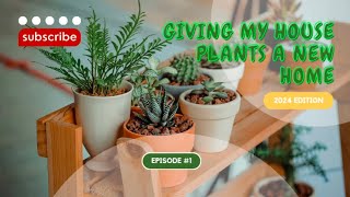 Giving My House Plants A New Home| Episode #1