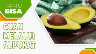 TIPS MENGHASILKAN UANG MELALUI ALPUKAT