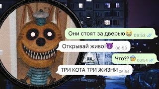 ночью Три Кота пришли меня забрать