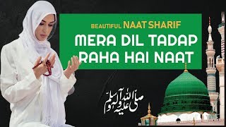 Naat Sharif | MERA DIL TADAP RAHA HAI | मेरा दिल तड़प रहा है