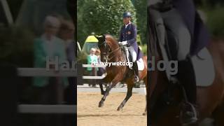 Fame and Carl Hester and David Bowie #dressage #equestrian #videoingperfection