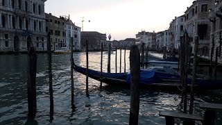 VENISE MARS 2016