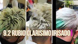 9 2 Rubio Clarisimo Irisado Yellow Alfaparf #rubiosplatinados #platinados #gris