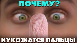 Почему пальцы сморщиваются? - ТОПЛЕС