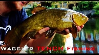 Waggler Fishing For Tench