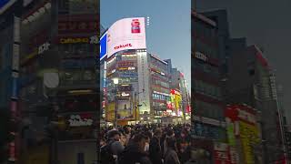 I was running late & encountered this! Shibuya Scramble Crossing 6pm 1/3/24 #shibuyacrossing #japan