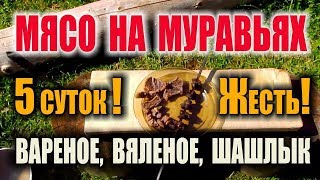 ВЯЛЕНОЕ МЯСО, ШАШЛЫК, КОНСЕРВАЦИЯ МЯСА МУРАВЬЯМИ. Пробуем муравьиные деликатесы - это Бушкрафт