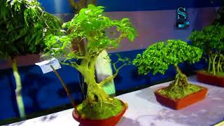 Indian Oil Corporation unique Flower Show competition 2018 in Haldia Township.