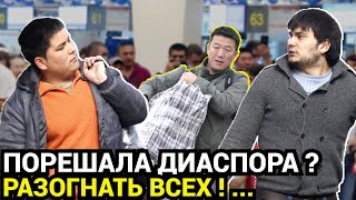 ОСКОРБЛЯЛ ВСЕХ! Мигранта в Домодедово успокоил охранник, за что его уволили - поднялась волна