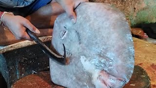 Amazing fish cutting fast Sea fish cutting ! Amazing Fish cutting Skills Video Big Sea fish Fish