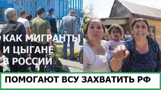 МИГРАНТЫ ПОМОГУТ ВСУ ЗАХВАТИТЬ ВЛАСТЬ В РОССИИ