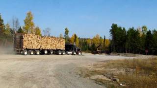 Peterbilt 359 Classic BIG SMOKE! w/ 5 axle LBC log trailer  (HD)