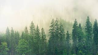 Relaxing Music & Rain Sounds - Beautiful Piano Music, Background Music, Sleep Music