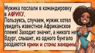 Мужик не удержался и переспал с Африканкой! Анекдоты. Юмор