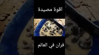 اقوة مصيدة فران في العالم كلو 😂😂