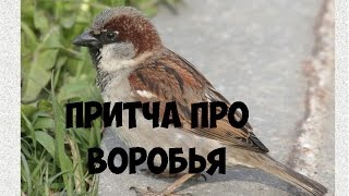 Притча про Воробья / Притча о воробье / Притча воробей видео на русском языке