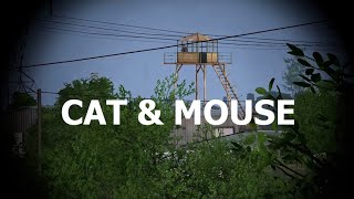 DayZ Livonia - Cat-and-Mouse