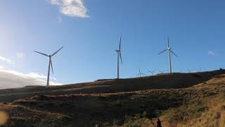 Maui Windmills at Sunset