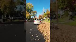 FPV Drone Chasing down cars #drone #dji #shorts