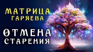 Самое Мощное Омоложение организма ☀️ Матрица Гаряева Торможение Старения