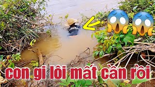 Cắm Câu Cá Chạch Không Ngờ 😱Lại Dính Được Con Cá Này Quá Phê Rồi