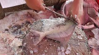 Professional Pomfret Fish Cutting 🐟 Slicing At Knife In The Fish