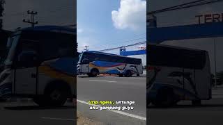 Bus Bus Keren Terminal Klaten #busmania #klaten #story #motivasi