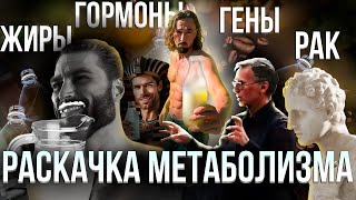 Вся база про здоровье. Пластик, ксеноэстрогены и полезная еда