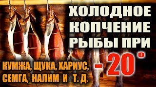 ХОЛОДНОЕ КОПЧЕНИЕ РЫБЫ. Рыба холодного копчения при - 20. Копчение рыбы в лесу. Бушкрафт кухня