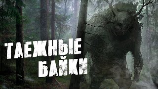 ТАЁЖНЫЕ РАССКАЗЫ | Страшные истории. Рассказы охотника