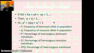 Hardy-Weinberg Equation and Calculations