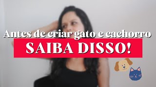 5 recomendações antes de criar gato e cachorro 🐱🐶