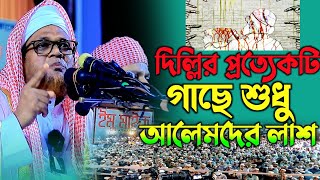 দিল্লির প্রত্যেকটি গাছে শুধু আলেমদের লাশ। জসিম উদ্দিন রহমানি। jasimuddin Rahmani new full waz 2024