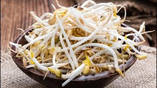 How to Grow Bean Sprouts at Home #beansprouts #gardening