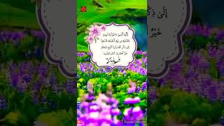 Ya Ayyuhal Lazina Amanu izaak Nudiya Lissalati | Quran Hadees| #ytshort #shortfeed