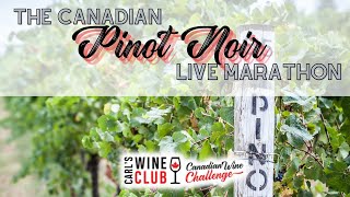 Live Pinot Noir Marathon! Stop by and chat Canadian Pinot Noir with us!