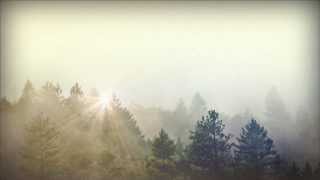 Trees and Fog Church Motion Graphic | Sharefaith.com