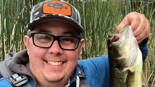 Late spring bass fishing