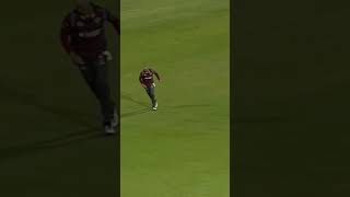 Memory reboot best catch 😱 in #shorts #cricketshorts #cricket