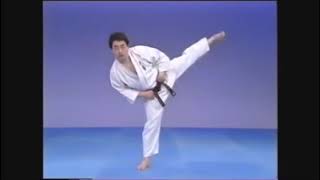 Kyokushin 101: Sokuto Yoko Geri