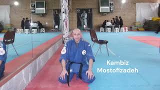 Kambiz Mostofizadeh - True Meaning of Martial Arts