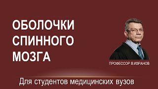 Оболочки и межоболочечные пространства спинного мозга