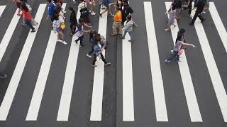 Free View of Pedestrian Crossing Long - Videvo Free Video Author