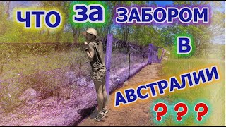 Мы побывали за ЗАБОРОМ в Австралии 🤖👣 ! ТАЙНЫ АВСТРАЛИИ 👽