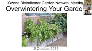 Ozone Garden Network Meet-up - October 2019