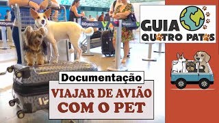 COMO LEVAR MEU CACHORRO NO AVIÃO | DOCUMENTAÇÃO - Guia 4 Patas