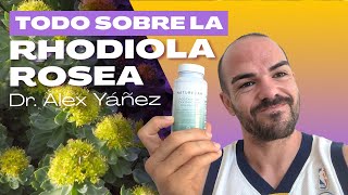 TODO SOBRE LA RHODIOLA ROSEA por ALEX YANEZ